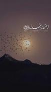 دل به خدایی بسپار که تدبیرش از تدبیر ما نیکوتر، و..♡◇♡