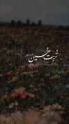 چرا تربت امام حسین «علیه‌السّلام» شفا می‌دهد؟🪴🤍