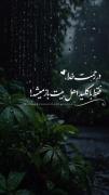 خاندان عصمت، دروازه‌های رحمت پروردگارند.🪴🤍 