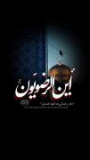 أَيـنَ الرَضَــویّــونْ؟! 💙 