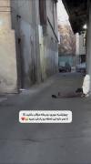 وایییی دهنش سرویس 🤣🤣🤣🤣🤣🤣🤣🤣😂😂😂😂😂😂😂😂😂😂🤭