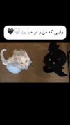 وایبی که منو و تو میدیم اصلا یه چیز دیگس...🌚❤️‍🩹