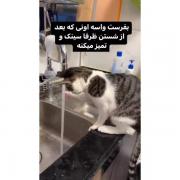بفرست واس رفیقات (باسلیقه ها)😁😶
