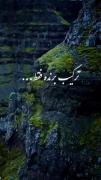 ترکیب برنده که هیچ وقت باخت نامیده⁦(⁠◍⁠•⁠ᴗ⁠•⁠◍⁠)⁠❤⁩