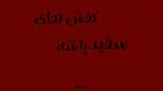 سوسن خانوم یدونه باشه*‌‌‌‌‌‌‌‌‌‌‌‌