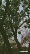 فقط صدای اصلیش😍کارخودمه لایک یادت نره😉