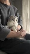 رگای دستووو....... منحرفم خودتونینننننن