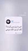 خبر داری زمین گرده؟! لگد کردی لگد میشی..