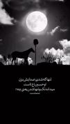 صل الله علیک یا ابا عبدالله....