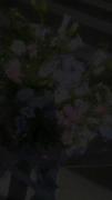 شمارو به ی وایب خوب دعوت میکنم🌸🪻🥀🌷🌻💐🌹🏵