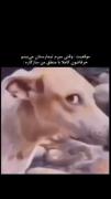 عجیبه 😐🫥🧐😳‌‌‌‌‌‌‌‌‌‌‌‌‌‌‌‌‌