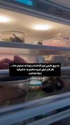 نگاهی به امکانات زندگی و مقایسه‌ای تأمل‌برانگیز بین ایران و جهان