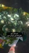 بفرست واسه کسی که دوسش داری...