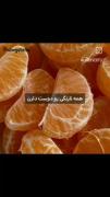 کیدرام/ کره ای / مستر پلانکتون / ازمایشگاه سیب زمینی