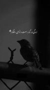 زندگی در گذر است و آدمی رهگذر