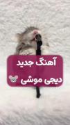 طنز برای مناسب خاص است و خیلی بامزه است
