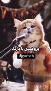 محسن چه کردی با همه محسسسسن ..
