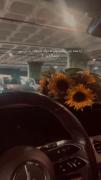 ٫٫٫٫٫٫٫٫٫٫٫٫٫٫٫٫٫٫٫٫٫٫٫٫٫٫٫٫٫٫٫