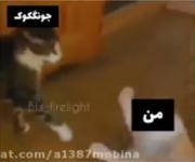 من وقتی جونگ‌کوک‌و می‌بینم.......