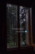 زندگی رقص نور است در تاریکی 🌱🌸