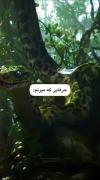 ٠٠٠٠٠٠هنوزم میخوای بشناسی٠٠٠٠٠٠