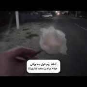هوم، من رز سفید خلی دوس دارم، پس قول بده 🥲💯