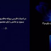 شمع شو ببین چگونه پروانه ات میشوم به دور تو میگردم:)