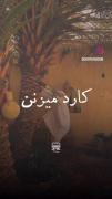 استوری حرف حق غمگین . . .