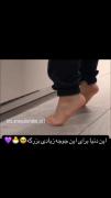 جوجه به این کیوتی دیده بودین؟...