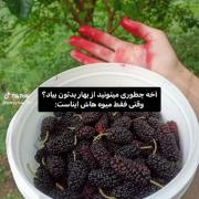 دلممم خواسسسس💝💖‌‌‌‌‌‌‌‌‌‌‌‌‌‌