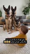 سگ پشتی یه چیز دیگس کلا فقط آخرش
