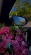 لحظه‌ای عاشقانه با گل رز و موسیقی آرامش‌بخش در مسیر