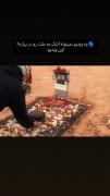 بی دندون......................🫠🐾