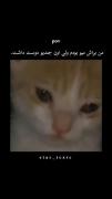 شماچی؟😂😔>>>>>>>>>>>>>>>>>>>>>>>>