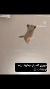 جوری که دوست دارم بیام بغلتتت:)