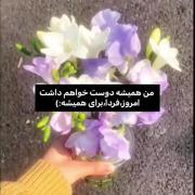  . رزکوچولوم:)