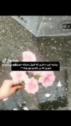  . زیبایی رز کوچولوم>>>