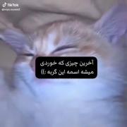 تو کامنتا اسم پیشیتو بگو........