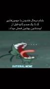  ‌. وای خدا حق تا کییی؟🤣🤣🤣