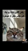بعد جالب اینجاست تو همه عکسا اخم داره🤣💔