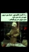  ‌ شیر درون منو رفیقم:
