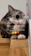  ‌ کیه که قدر بدونه؟😔