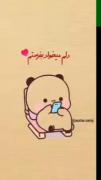 آقا من اصلا دوست دارم بفرستم :