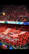 عاشقتم پرسپولیسم🥹🫀✨ ♡