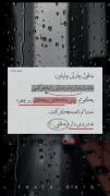 نه دردی دارم نه قلبی... حق ترینه