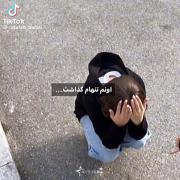 ...............................