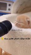بفرست برا صمیمی ترین دوستت اونم بخنده 
