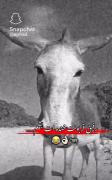وایییییی رفییییییق😛😂‌‌‌‌‌‌‌‌‌‌