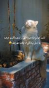 حرف حق 🤪😜دخترا نه شاد ارههههه