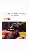 ..........................😂😌